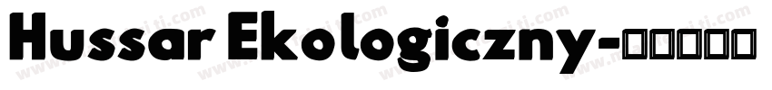 Hussar Ekologiczny字体转换